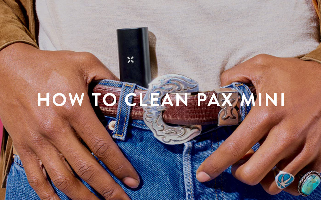 Complete Guide to Cleaning Your Pax Mini Vaporizer + Tips!