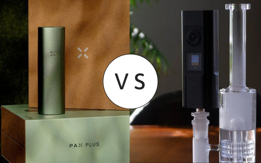 Arizer Solo 3 vs PAX Plus - The Winner is? Arizer Solo 3 vs PAX Plus - The Winner is?