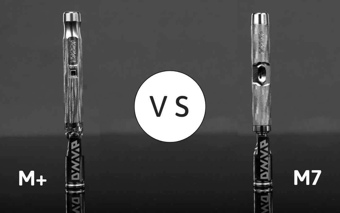 Dynavap M7 vs M Plus - Who is the Champoin? Dynavap M7 vs M Plus - Who is the Champoin?