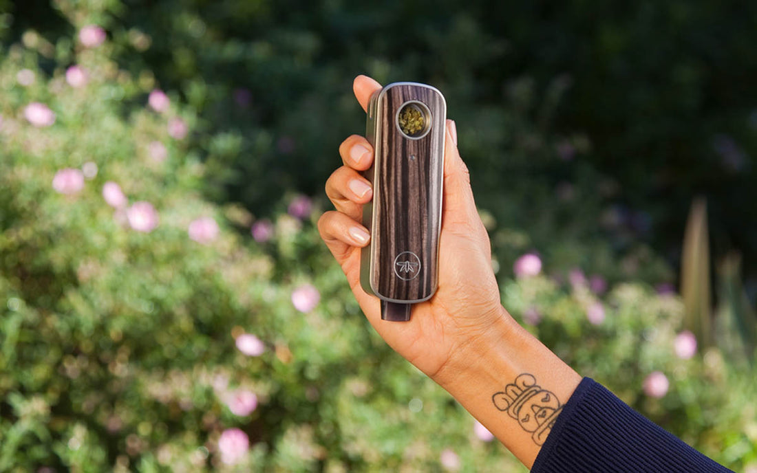 Firefly 2 Review | Edgy And Cool, Want It? Firefly 2 Review | Edgy And Cool, Want It?