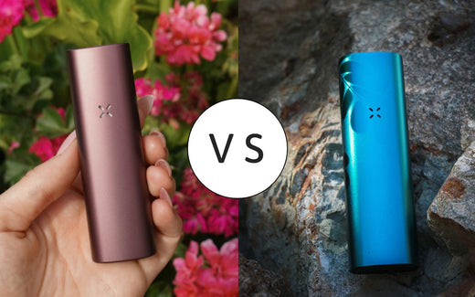 PAX Plus Vs PAX 3 Vaporizer Review