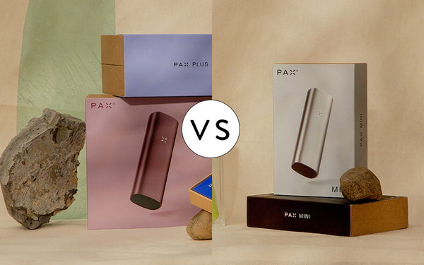 PAX Plus vs PAX Mini Vaporizer