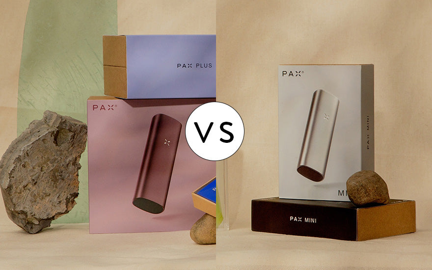 Pax Plus vs Pax Mini: Which of the Brand's Weed Vapes Is Right for