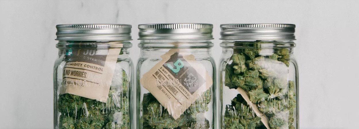 Boveda Humidity Control UK