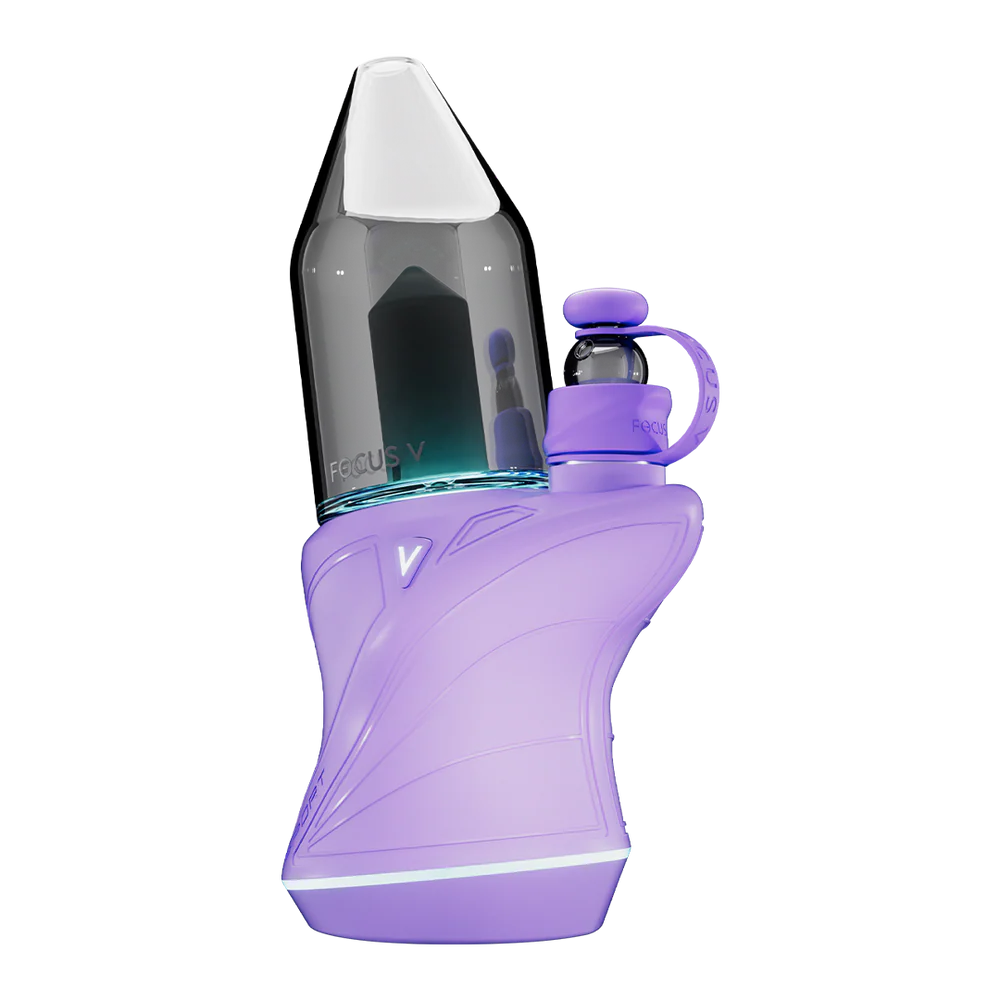 Focus V - Carta Sport Purple Lilac