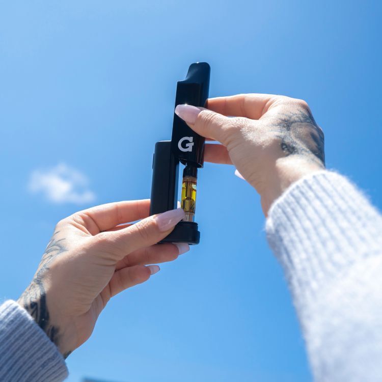 GPEN Hydout hide cart vape