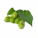 Hop Bio Organic Flowers - 10g Herb