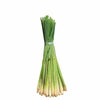 Lemon Grass Organic - 15g