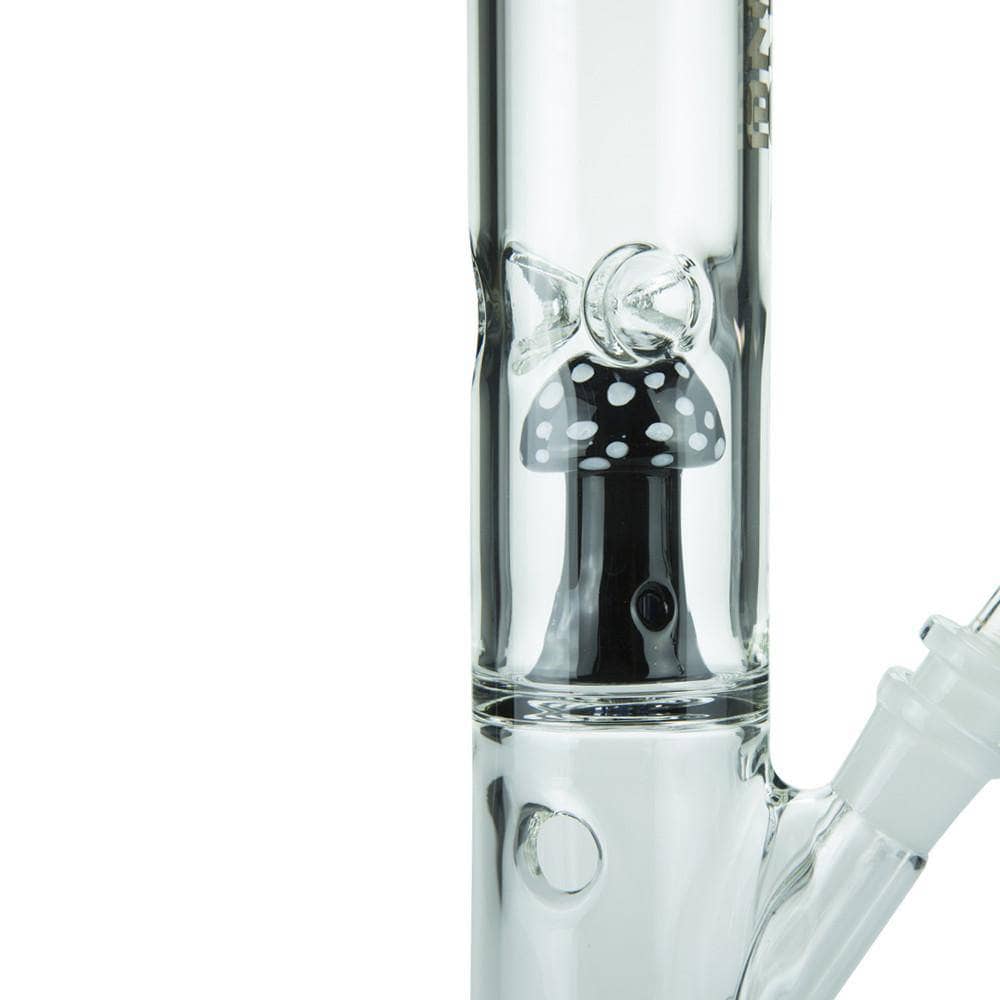 blaze mushroom bong uk