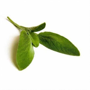 Organic Sage Bio - 15g